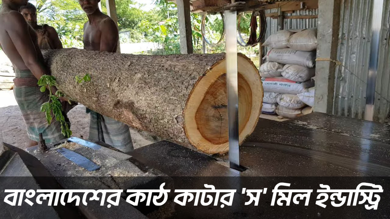 Wood-sawing-industry-in-bangladesh