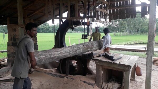 traditional saw mill machine 